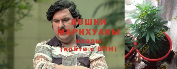 мдпв Архангельск