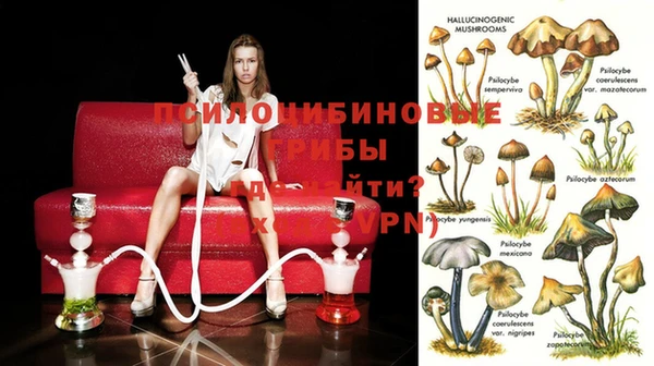 мяу мяу мука Лагань