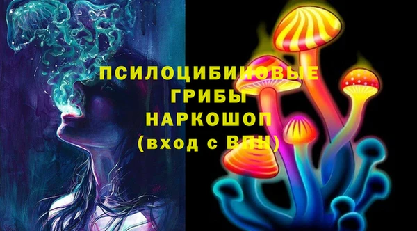 дживик Ладушкин