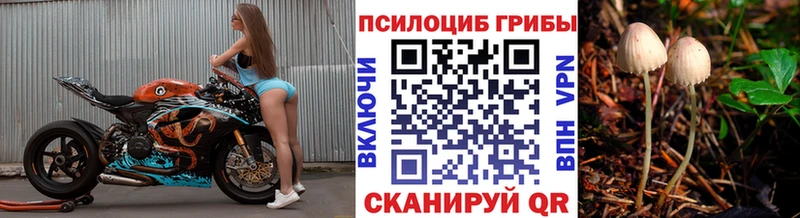 Галлюциногенные грибы прущие грибы  Электросталь 